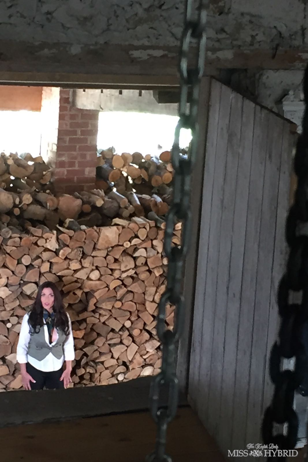 WoodPile003.jpg